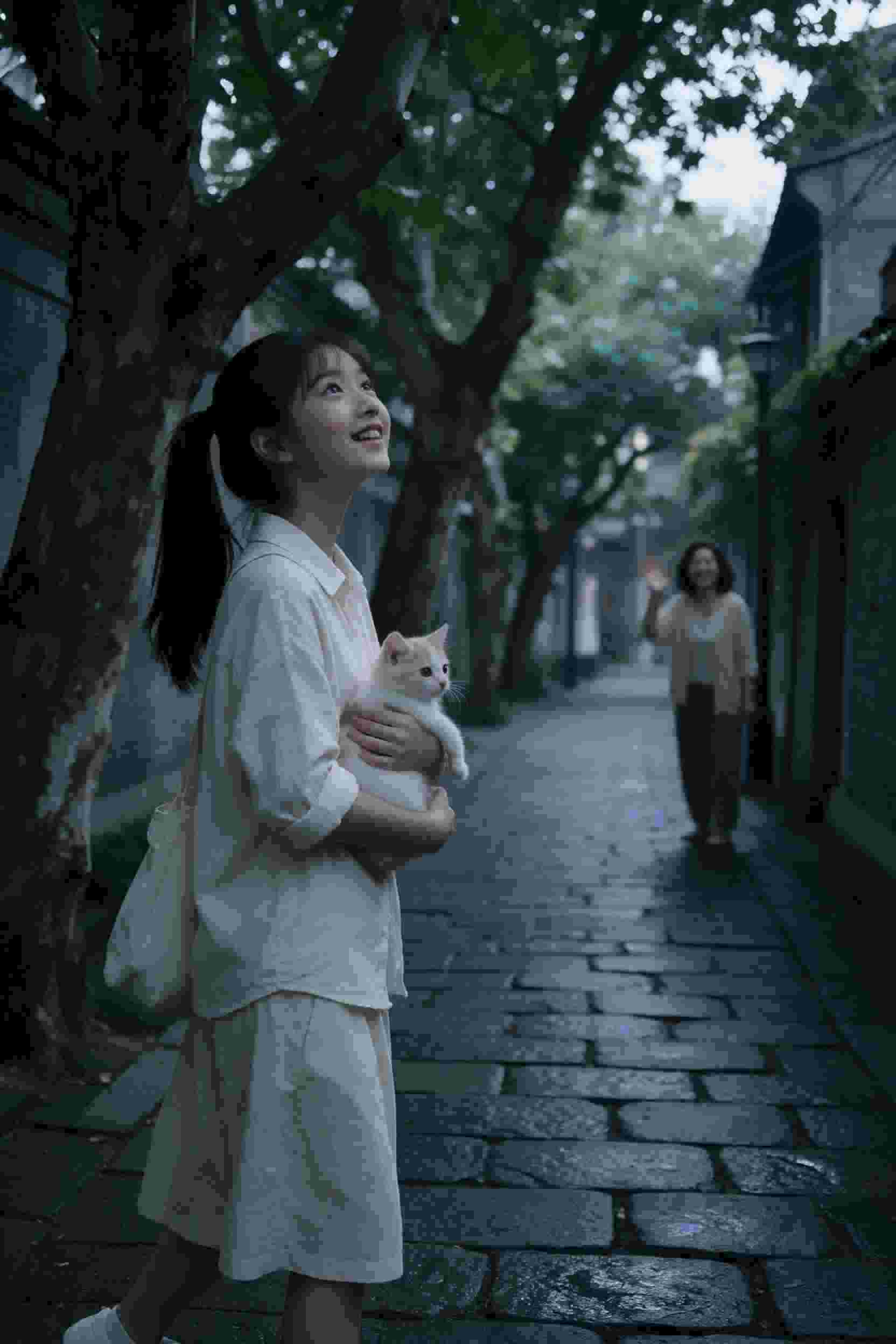 动画卡片