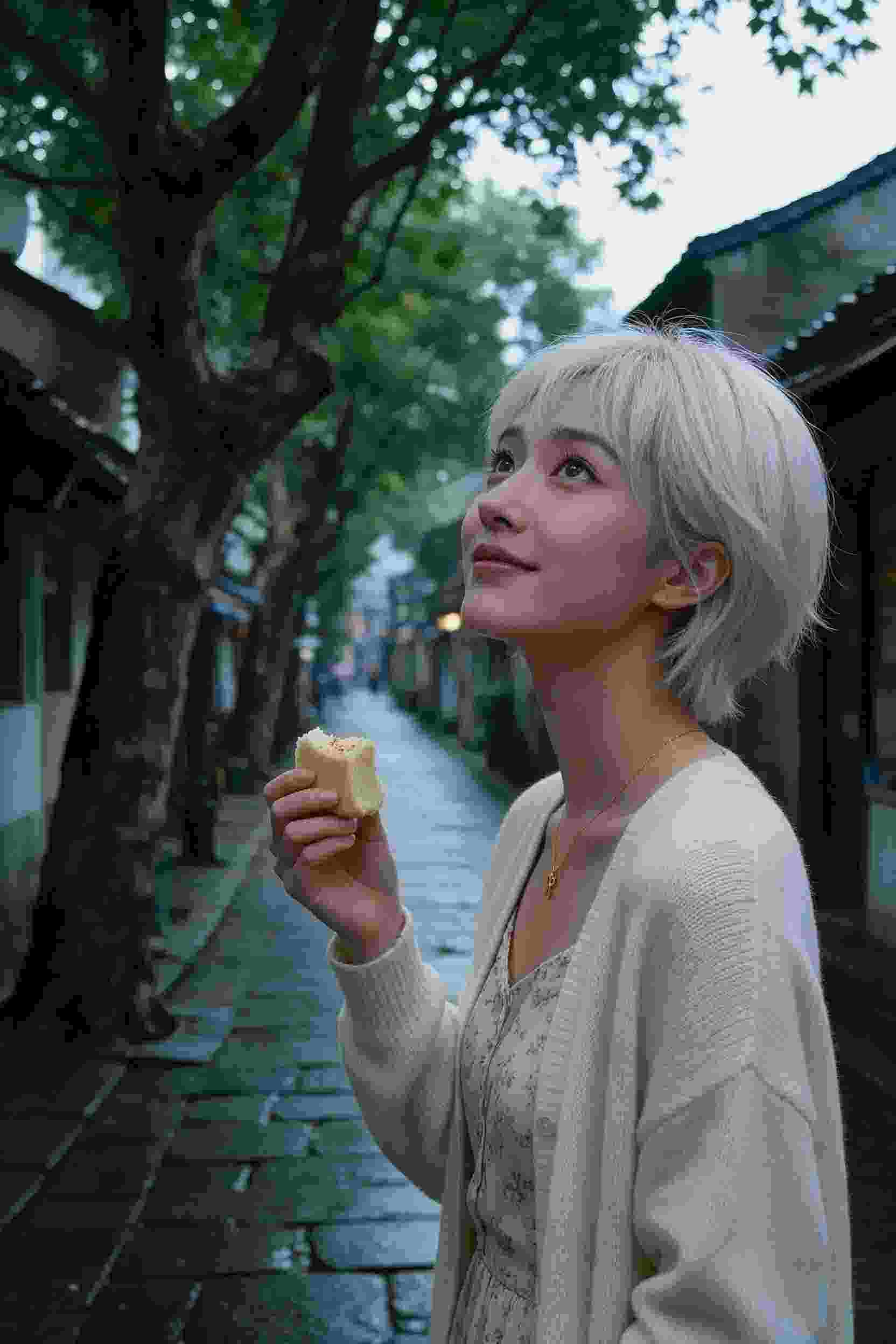 动画卡片